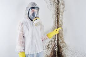 Lakeshire, MO Mold Remediation Company